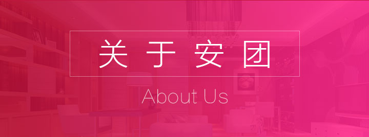 安团家博会